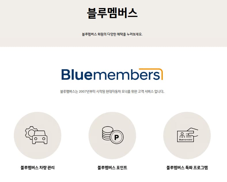 현대자동차 블루멤버스 홈페이지 (www.hyundai.com)